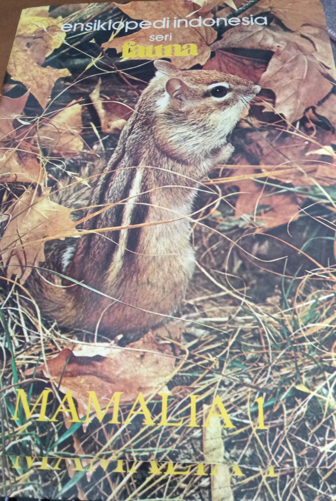 Ensiklopedi Indonesia Seri FAUNA( MAMALIA 1 )