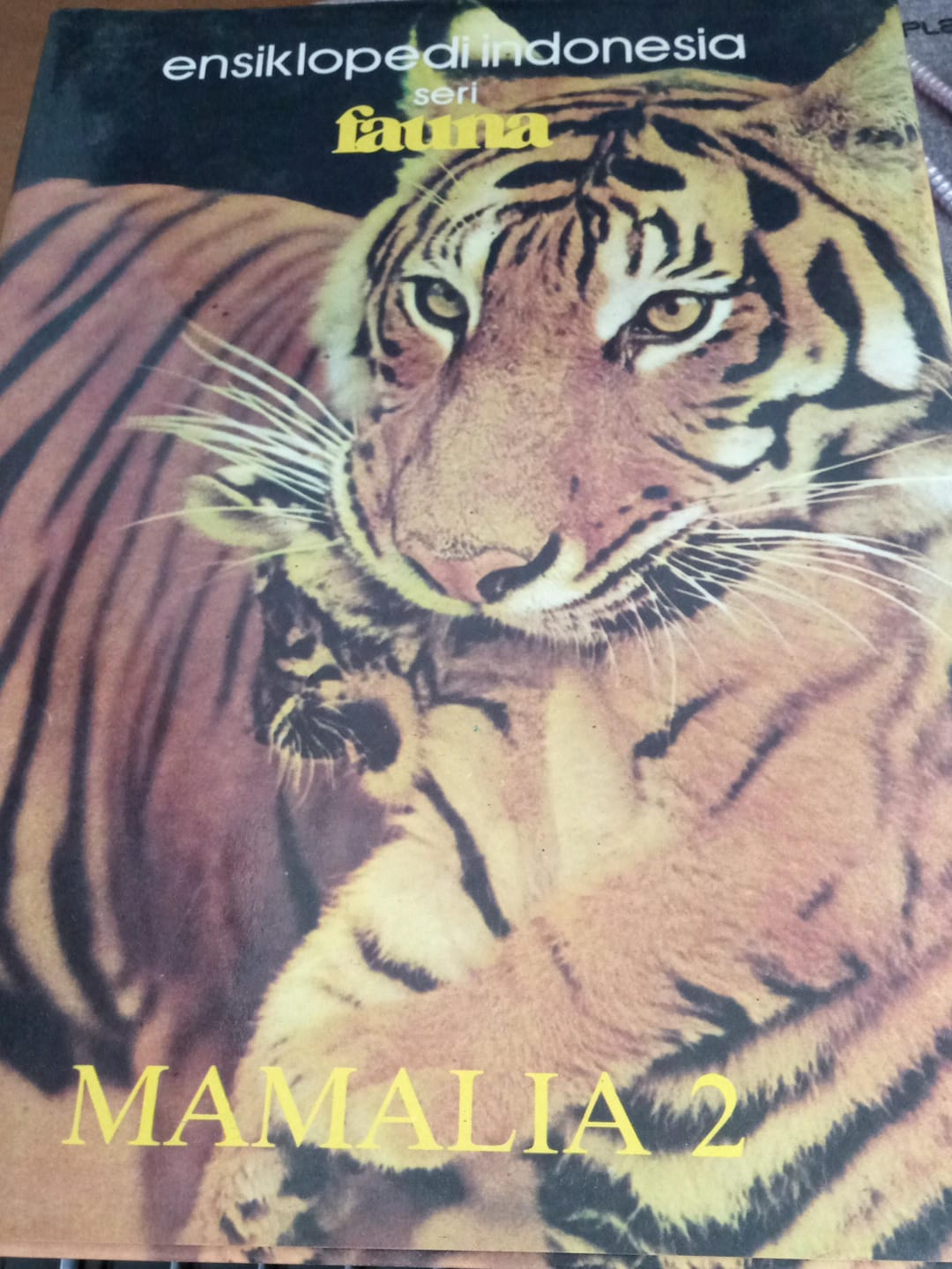 Ensiklopedi Indonesia Seri Fauna ( Mamalia 2 )